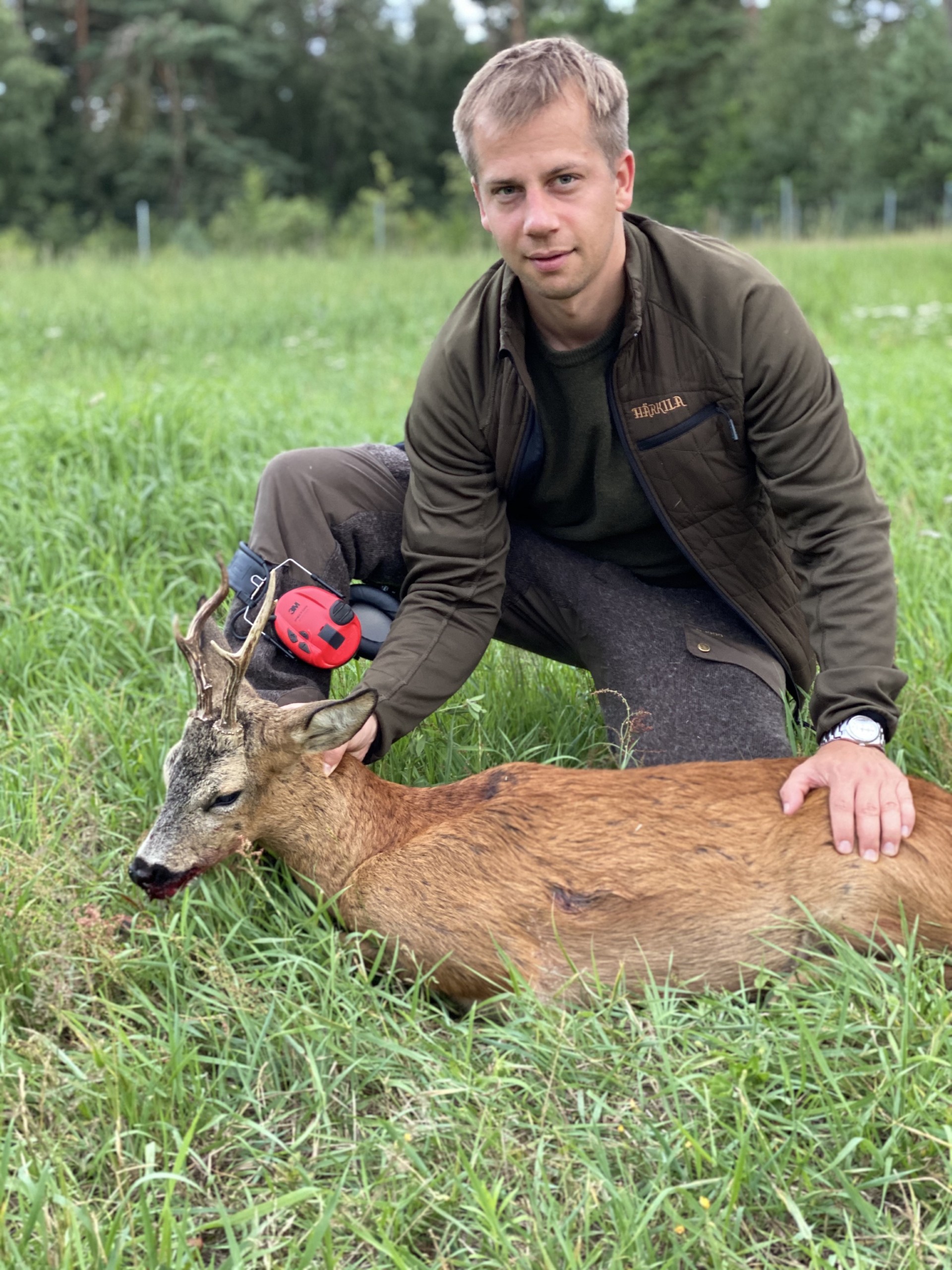 2019 – Der Wald ruft